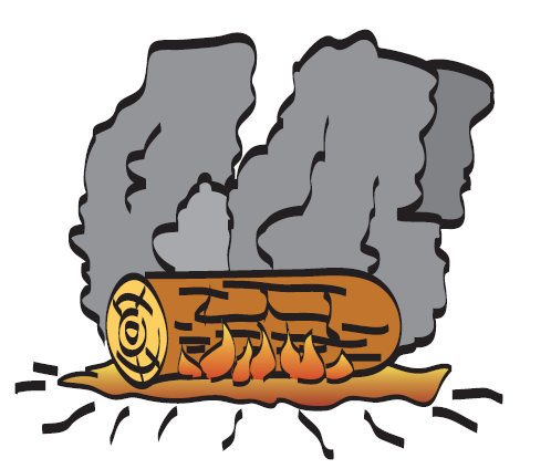 Combustion du bois - Delplan